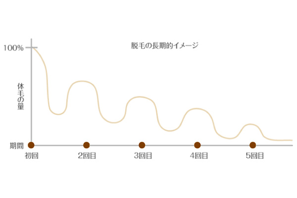医療脱毛長期的イメージ